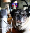 Create-A-Podcast