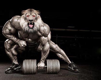 Bodybuilding Motivation Images