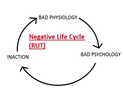 Negative Life Cycle