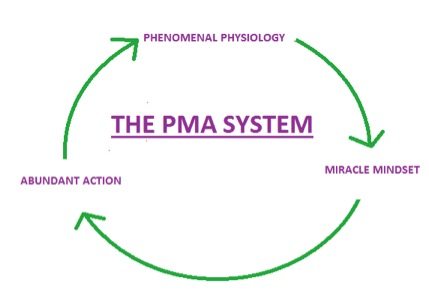 The PMA System