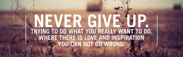 never give up give love quote