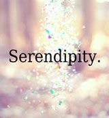 Serendipity Life