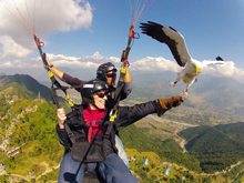 Paragliding with birds GoPro Photo