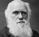 Charles Darwin Leadership Quote