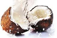 Superfoods - Coconut