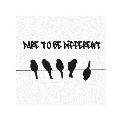 birds dare to be different