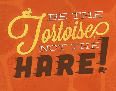 Be the tortoise not the hare-picture-quote