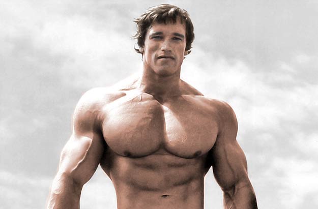 Arnold Schwarzenegger Champion BodyBuilder