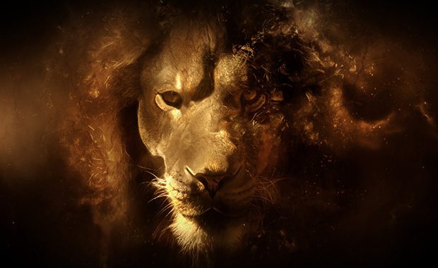 100 Lion Quotes To Boost Your Motivation - Addicted 2 Success